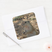 Hartelijk dank voor de foto van de grote eekhoorn vierkante sticker (Envelop)