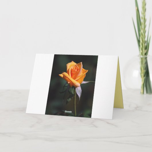 Hartelijk dank voor de Kaart van de collage van de (Achterkant)