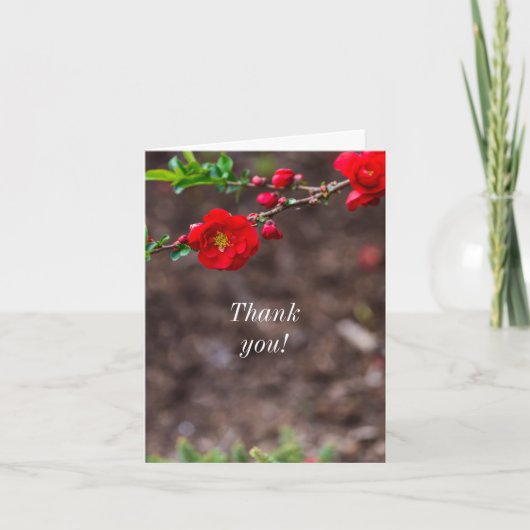 Hartelijk dank voor de kaartscarlettop bedankkaart (Voorkant)