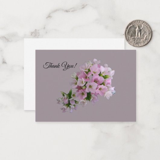 Hartelijk dank voor de platte briefkaart (Voorkant / Achterkant in situ)