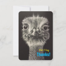 Hartelijk dank voor de platte kaarten