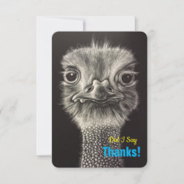 Hartelijk dank voor de platte kaarten