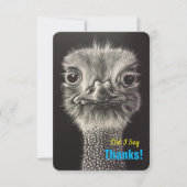 Hartelijk dank voor de platte kaarten (Voorkant)