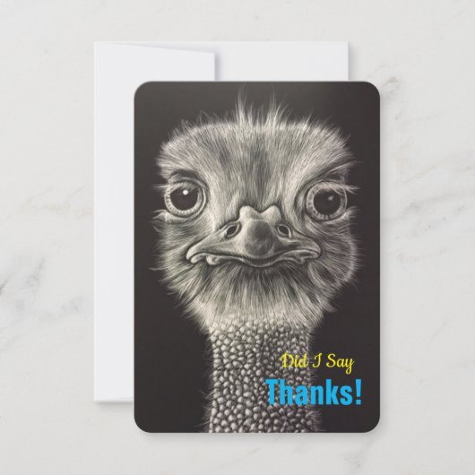 Hartelijk dank voor de platte kaarten (Voorkant)