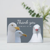 Hartelijk dank voor de steun van de hele US Seagul Bedankkaart (Staand voorkant)