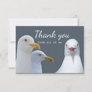 Hartelijk dank voor de steun van de hele US Seagul Bedankkaart