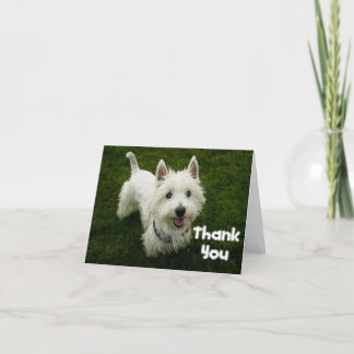 Hartelijk dank voor de West Highland Terrier Puppy Bedankkaart