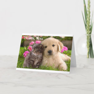 Hartelijk dank voor Golden Retriever Puppy & Kitte Bedankkaart