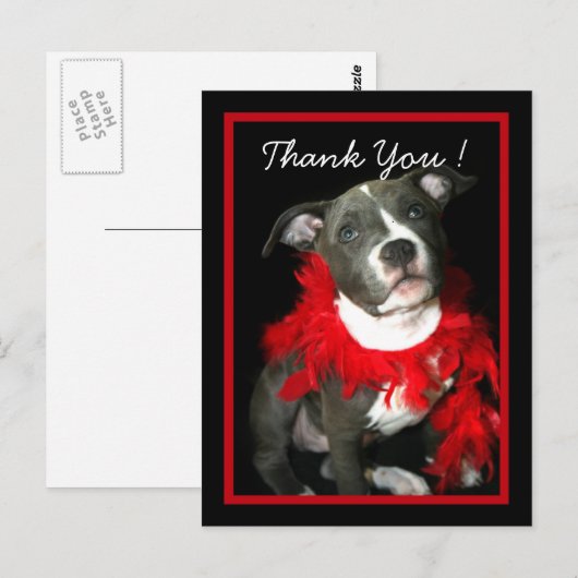 Hartelijk dank voor het briefkaart Blauwe Pitbull  (Voorkant / Achterkant)