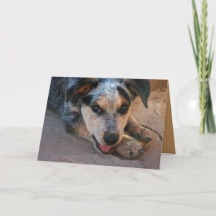 Hartelijk dank voor het hart - Hondenliefhebber Bedankkaart