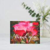 Hartelijk dank voor het Roos Cherry Parfait #1-2 B Briefkaart (Staand voorkant)