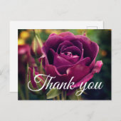 Hartelijk dank voor het Roos van Burgundy Iceberg Briefkaart (Voorkant / Achterkant)