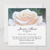 Hartelijk dank voor het schurkenwitte rozenplein - bedankkaart (Achterkant)