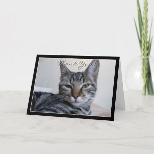 Hartelijk dank voor het wenskaart Tabby Cat Bedankkaart
