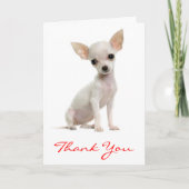 Hartelijk dank voor het Wenskaart van Chihuahua Pu Bedankkaart (Voorkant)