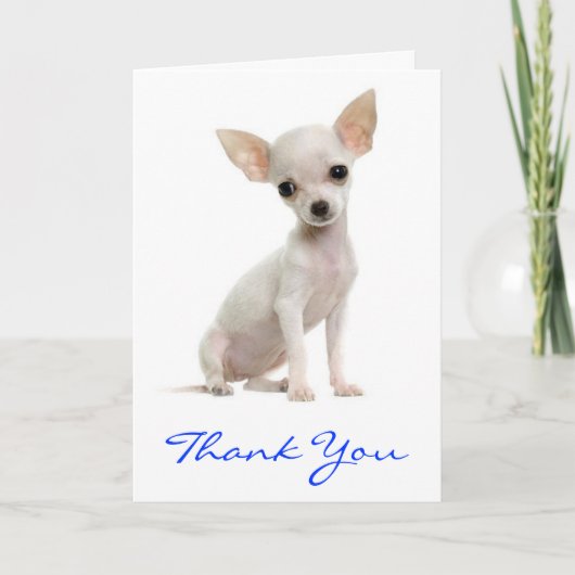 Hartelijk dank voor het Wenskaart van Chihuahua Pu Bedankkaart (Voorkant)