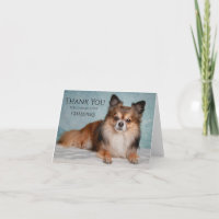 Hartelijk dank voor uw aandacht voor onze huisgeno