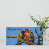 Hartelijk dank voor uw fotokaart met Rainbow Lorik Bedankkaart (Staand voorkant)