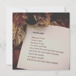 Hartelijk dank voor uw kaart van de hond
