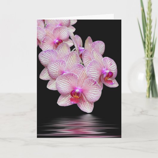 Hartelijk dank voor uw orchidee-sympathiekaart kaart (Voorkant)
