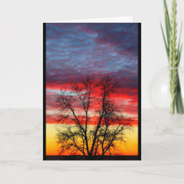 Hartelijk dank voor uw service aan ons land bedankkaart