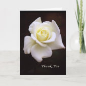 Hartelijk dank voor uw sympathie en bloemen bedankkaart (Voorkant)