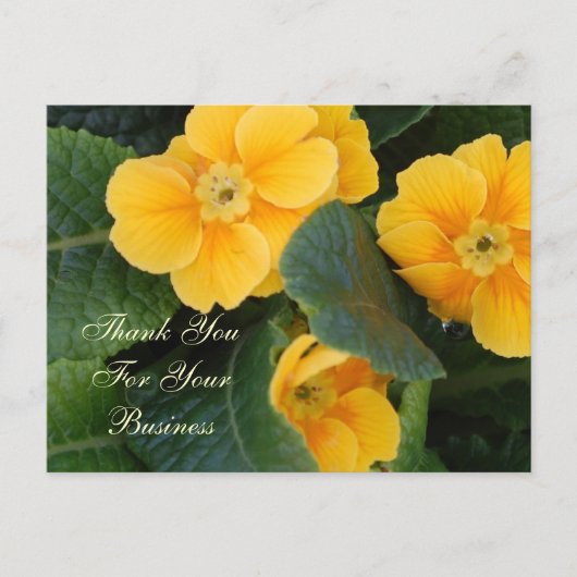 Hartelijk dank voor uw zakelijke briefkaart (Voorkant)