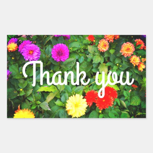 Hartelijk dank voor verschillende Dahlias #1-2 Sti Rechthoekige Sticker (Voorkant)