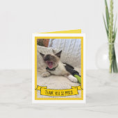 Hartelijk dank, zo veel Siamese Kitten Foto Bedankkaart (Voorkant)