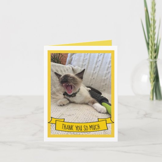 Hartelijk dank, zo veel Siamese Kitten Foto Bedankkaart (Voorkant)