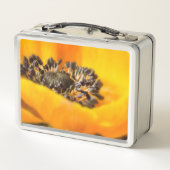 Hartelijk liefde Valentijnsdag Achtergrondpijl roz (Achterkant)