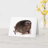 hartelijke verjaardagskaart kaart (Gele Bloem)