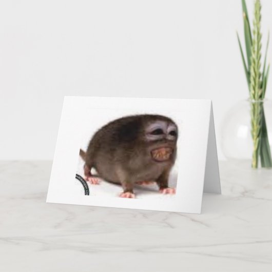 hartelijke verjaardagskaart kaart (Voorkant)