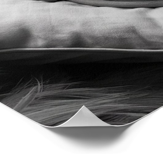 Harteloos Poster (Hoek)