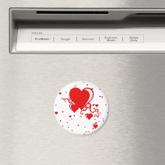 harteloosje magneet (Insitu (Vaatwasser))