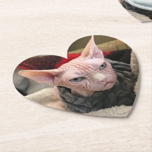 Harteloze kat - Witte olifantenGift Kartonnen Onderzetters (Gekanteld)