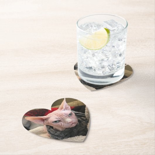 Harteloze kat - Witte olifantenGift Kartonnen Onderzetters (Insitu)