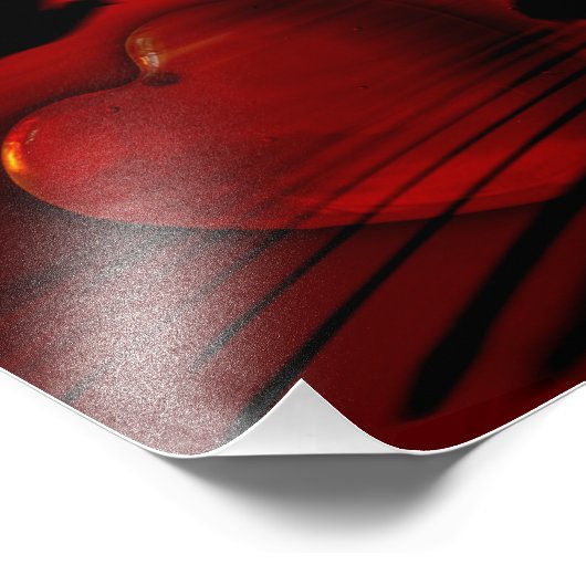 Harten en duiven foto afdruk (Hoek)