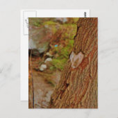 Harten gekaard in de boom briefkaart (Voorkant / Achterkant)