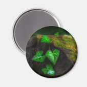 Harten van Klimop Magneet (Voorkant / Achterkant)