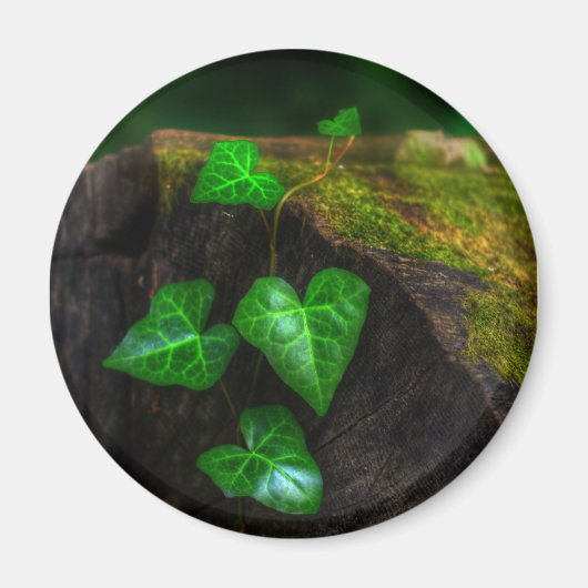 Harten van Klimop Magneet (Voorkant)