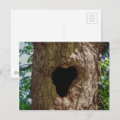 Hartenboom Briefkaart (Voorkant / Achterkant)