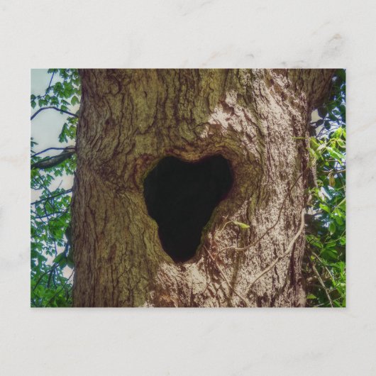 Hartenboom Briefkaart (Voorkant)