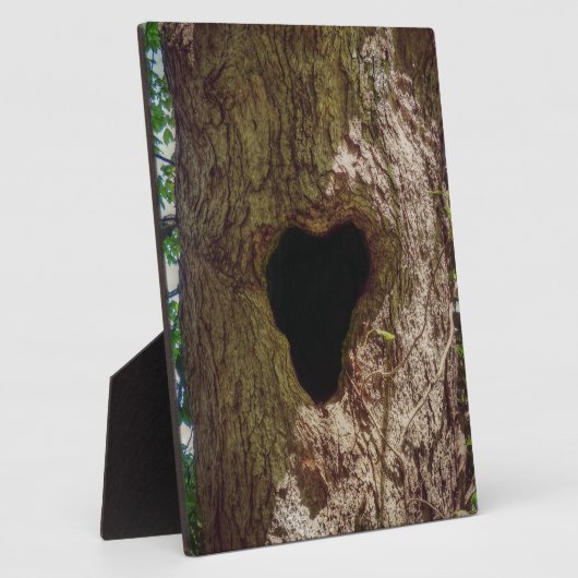 Hartenboom Fotoplaat (Zijkant)