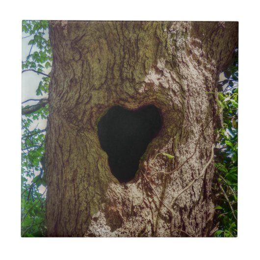 Hartenboom Tegeltje (Voorkant)