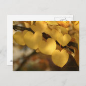 hartenketting briefkaart (Voorkant / Achterkant)