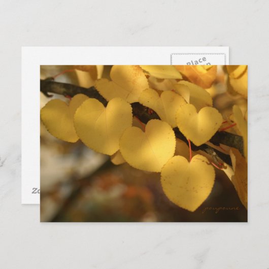 hartenketting briefkaart (Voorkant / Achterkant)