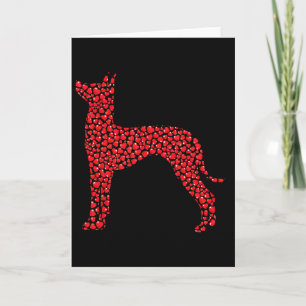 Hartige Hond Liefhebber Cadeaus Xoloitzcuintli Pup Kaart
