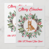 Hartige Kittens Plat Kerstkaart (Voorkant / Achterkant)