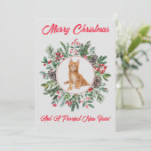 Hartige Kittens Plat Kerstkaart (Staand voorkant)